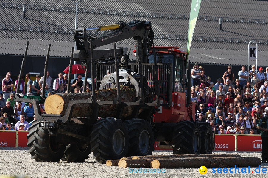 Hengstparade-Marbach-2011-011011-Bodensee-Community-SEECHAT_DE-IMG_1596.JPG