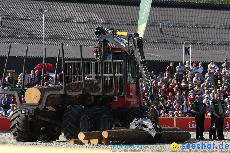 Hengstparade-Marbach-2011-011011-Bodensee-Community-SEECHAT_DE-IMG_1602.JPG