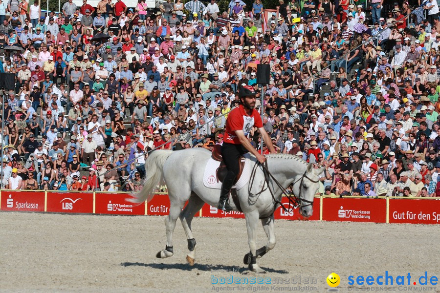 Hengstparade-Marbach-2011-011011-Bodensee-Community-SEECHAT_DE-IMG_1615.JPG