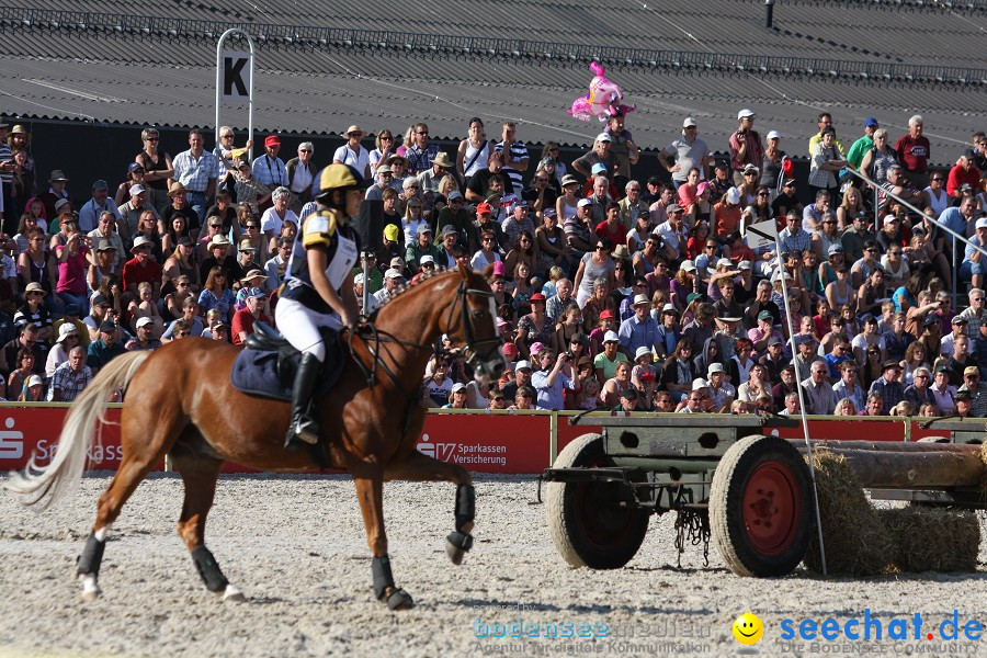 Hengstparade-Marbach-2011-011011-Bodensee-Community-SEECHAT_DE-IMG_1624.JPG