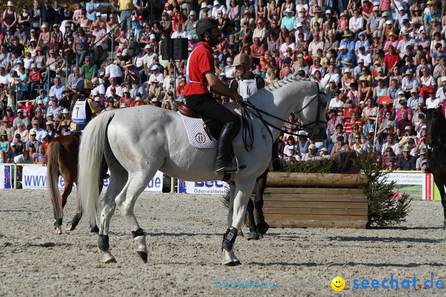 Hengstparade-Marbach-2011-011011-Bodensee-Community-SEECHAT_DE-IMG_1625.JPG