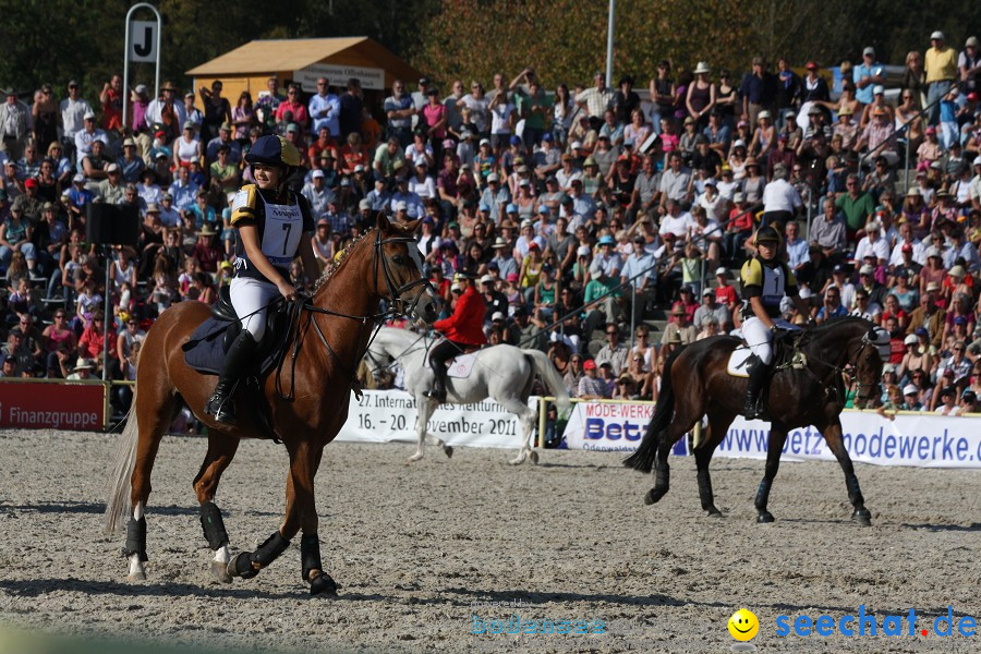 Hengstparade-Marbach-2011-011011-Bodensee-Community-SEECHAT_DE-IMG_1628.JPG