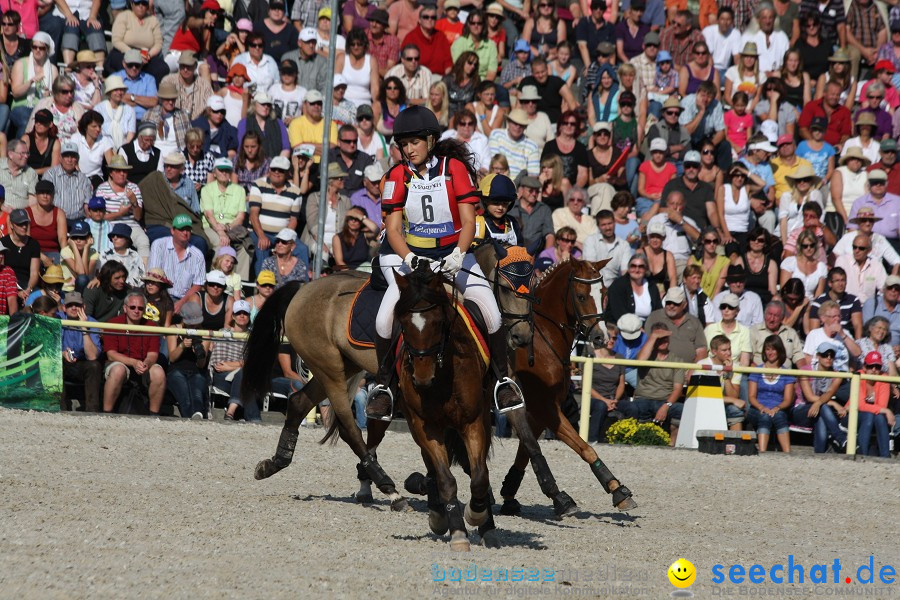 Hengstparade-Marbach-2011-011011-Bodensee-Community-SEECHAT_DE-IMG_1637.JPG