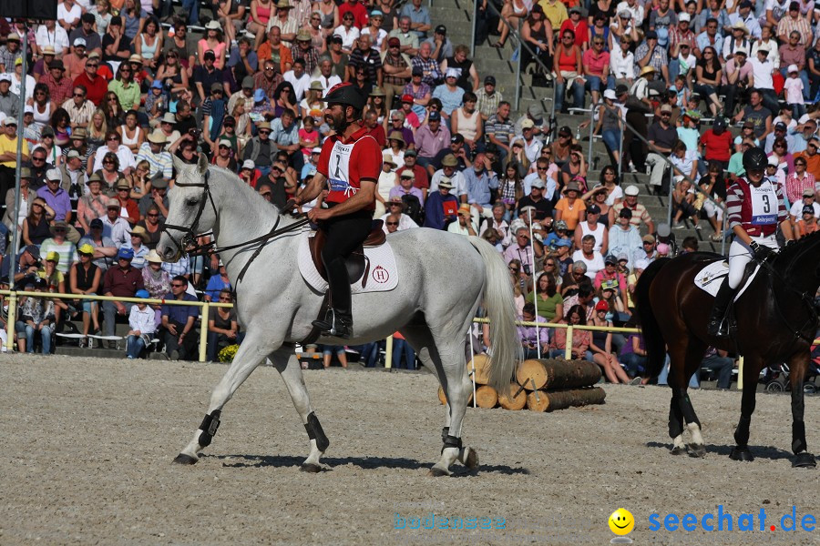 Hengstparade-Marbach-2011-011011-Bodensee-Community-SEECHAT_DE-IMG_1644.JPG