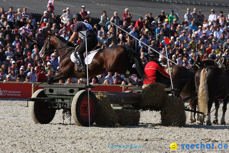 Hengstparade-Marbach-2011-011011-Bodensee-Community-SEECHAT_DE-IMG_1645.JPG