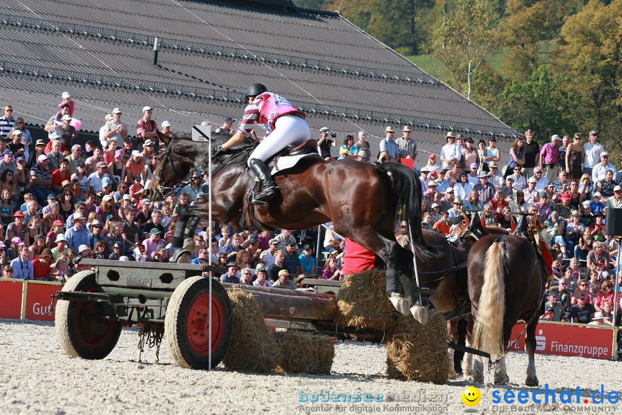 Hengstparade-Marbach-2011-011011-Bodensee-Community-SEECHAT_DE-IMG_1656.JPG