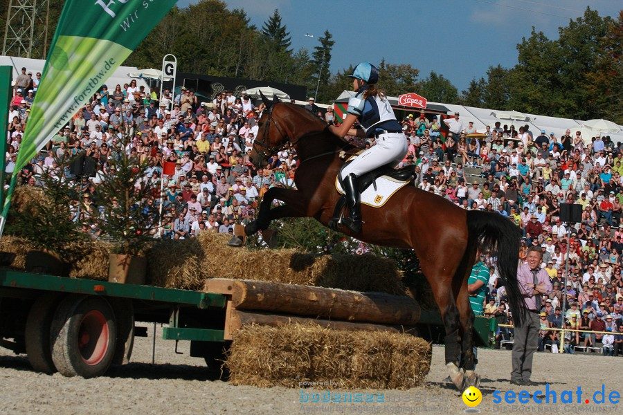 Hengstparade-Marbach-2011-011011-Bodensee-Community-SEECHAT_DE-IMG_1661.JPG