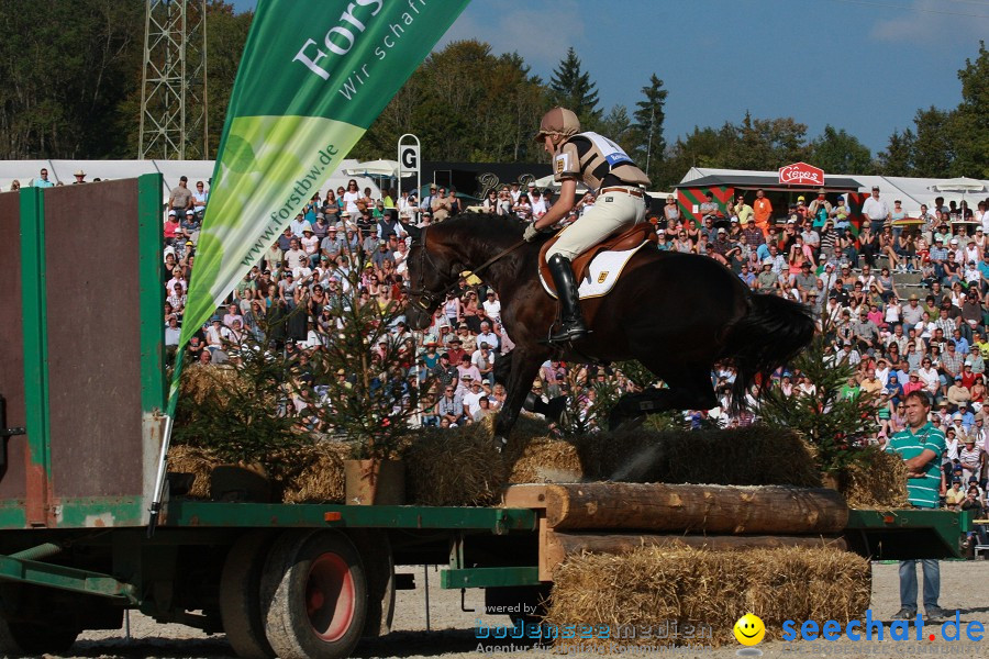 Hengstparade-Marbach-2011-011011-Bodensee-Community-SEECHAT_DE-IMG_1663.JPG