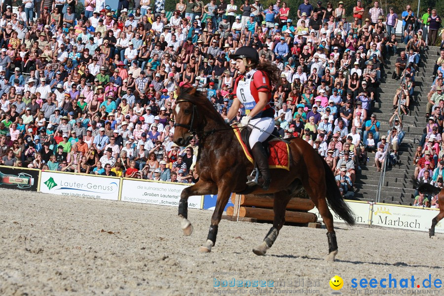 Hengstparade-Marbach-2011-011011-Bodensee-Community-SEECHAT_DE-IMG_1666.JPG