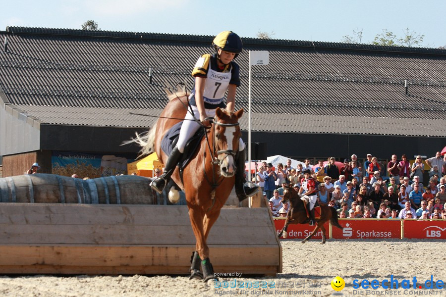 Hengstparade-Marbach-2011-011011-Bodensee-Community-SEECHAT_DE-IMG_1676.JPG