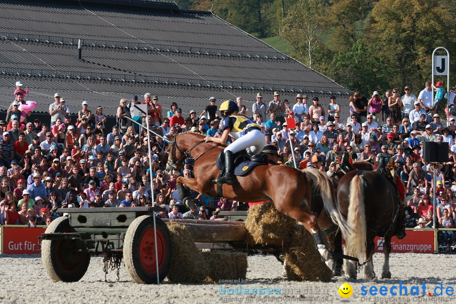 Hengstparade-Marbach-2011-011011-Bodensee-Community-SEECHAT_DE-IMG_1677.JPG