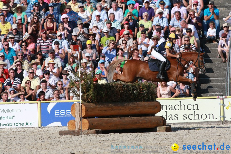 Hengstparade-Marbach-2011-011011-Bodensee-Community-SEECHAT_DE-IMG_1679.JPG