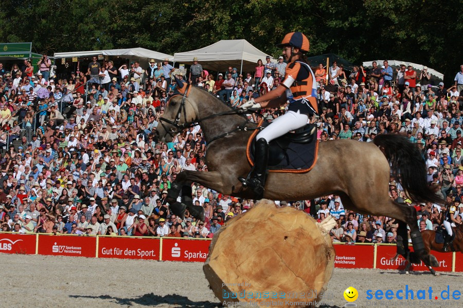 Hengstparade-Marbach-2011-011011-Bodensee-Community-SEECHAT_DE-IMG_1680.JPG