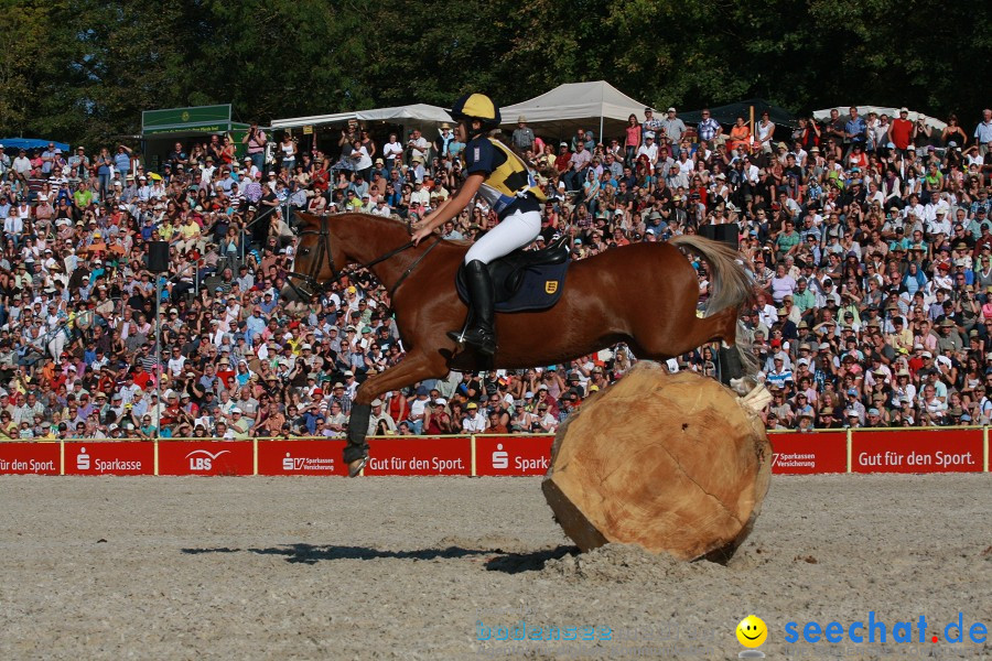 Hengstparade-Marbach-2011-011011-Bodensee-Community-SEECHAT_DE-IMG_1681.JPG