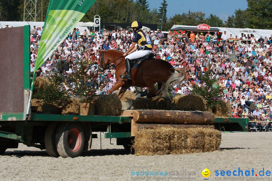 Hengstparade-Marbach-2011-011011-Bodensee-Community-SEECHAT_DE-IMG_1682.JPG