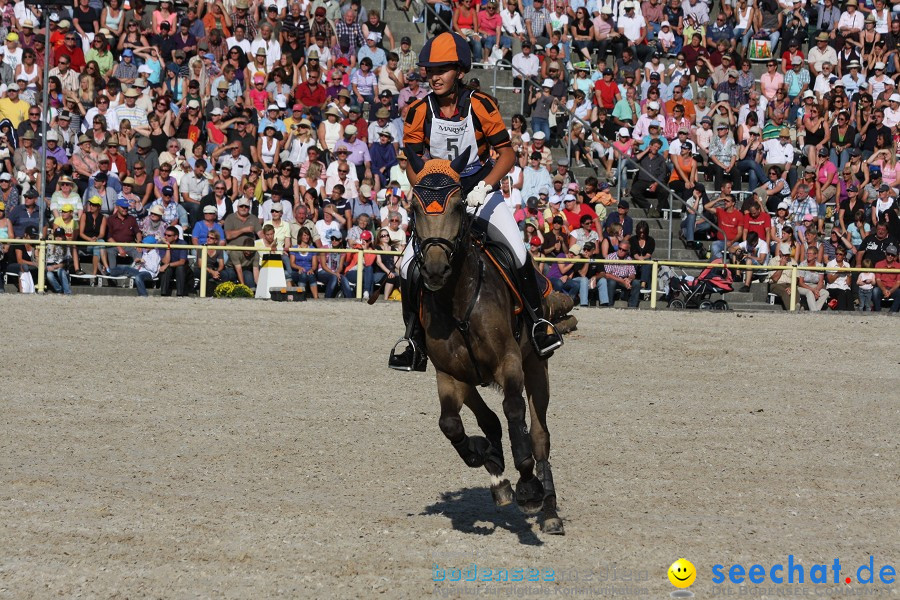 Hengstparade-Marbach-2011-011011-Bodensee-Community-SEECHAT_DE-IMG_1687.JPG