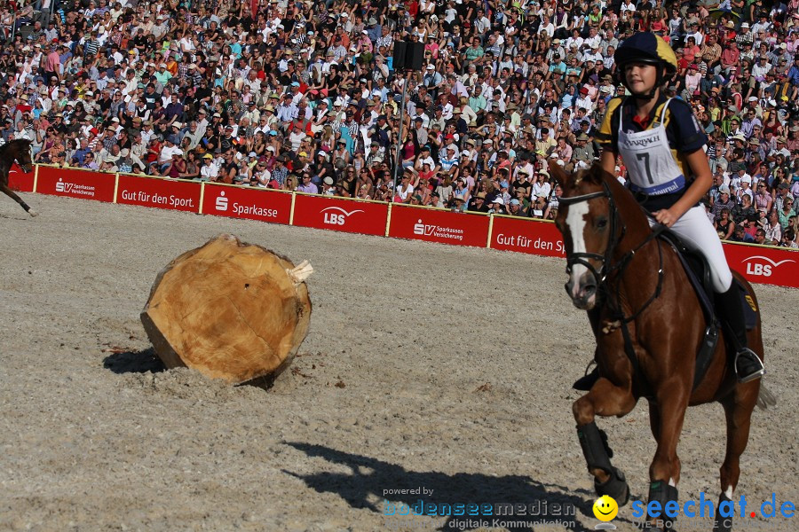 Hengstparade-Marbach-2011-011011-Bodensee-Community-SEECHAT_DE-IMG_1690.JPG