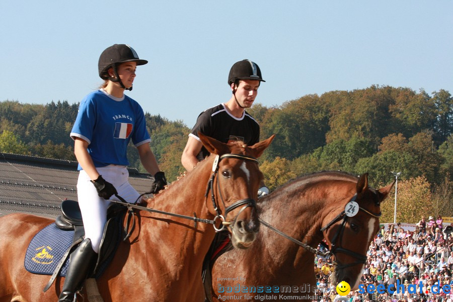 Hengstparade-Marbach-2011-011011-Bodensee-Community-SEECHAT_DE-IMG_1717.JPG