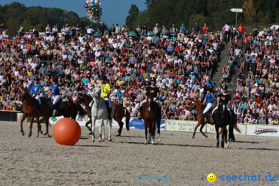 Hengstparade-Marbach-2011-011011-Bodensee-Community-SEECHAT_DE-IMG_1720.JPG