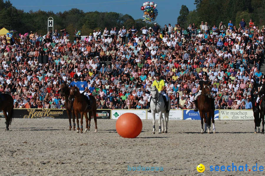 Hengstparade-Marbach-2011-011011-Bodensee-Community-SEECHAT_DE-IMG_1722.JPG