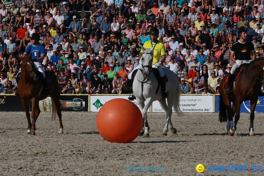 Hengstparade-Marbach-2011-011011-Bodensee-Community-SEECHAT_DE-IMG_1723.JPG