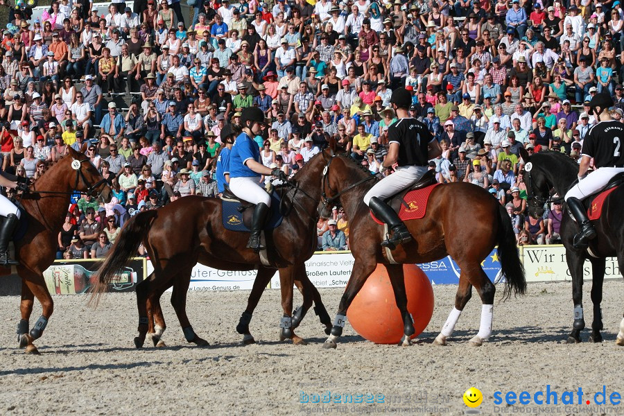 Hengstparade-Marbach-2011-011011-Bodensee-Community-SEECHAT_DE-IMG_1724.JPG