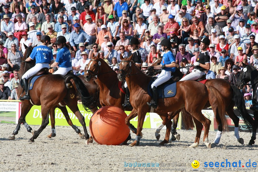 Hengstparade-Marbach-2011-011011-Bodensee-Community-SEECHAT_DE-IMG_1729.JPG