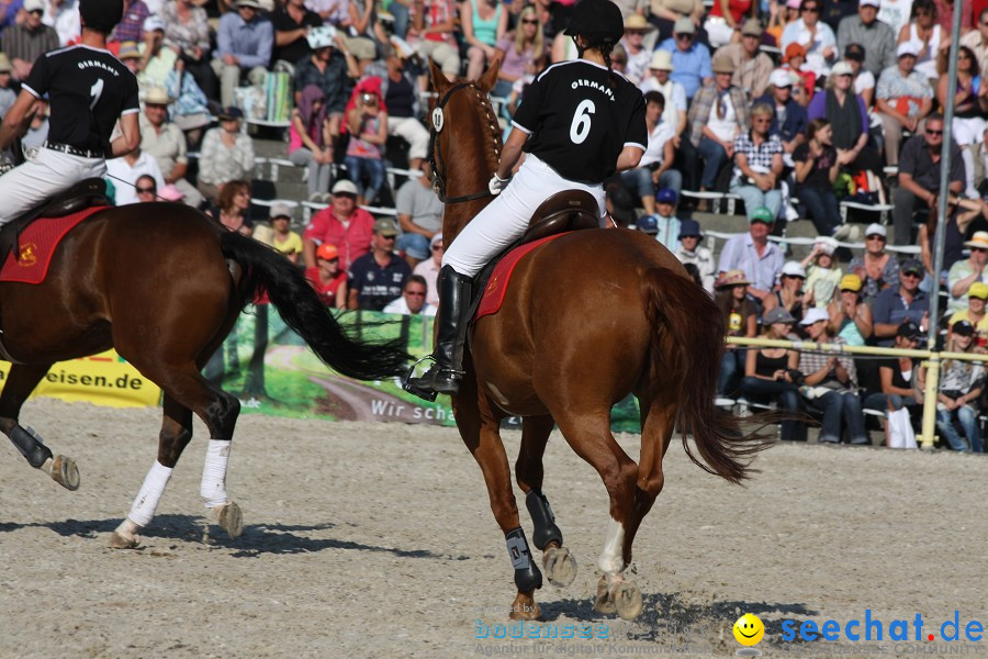 Hengstparade-Marbach-2011-011011-Bodensee-Community-SEECHAT_DE-IMG_1734.JPG