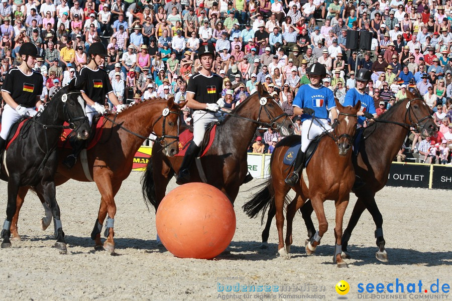 Hengstparade-Marbach-2011-011011-Bodensee-Community-SEECHAT_DE-IMG_1741.JPG