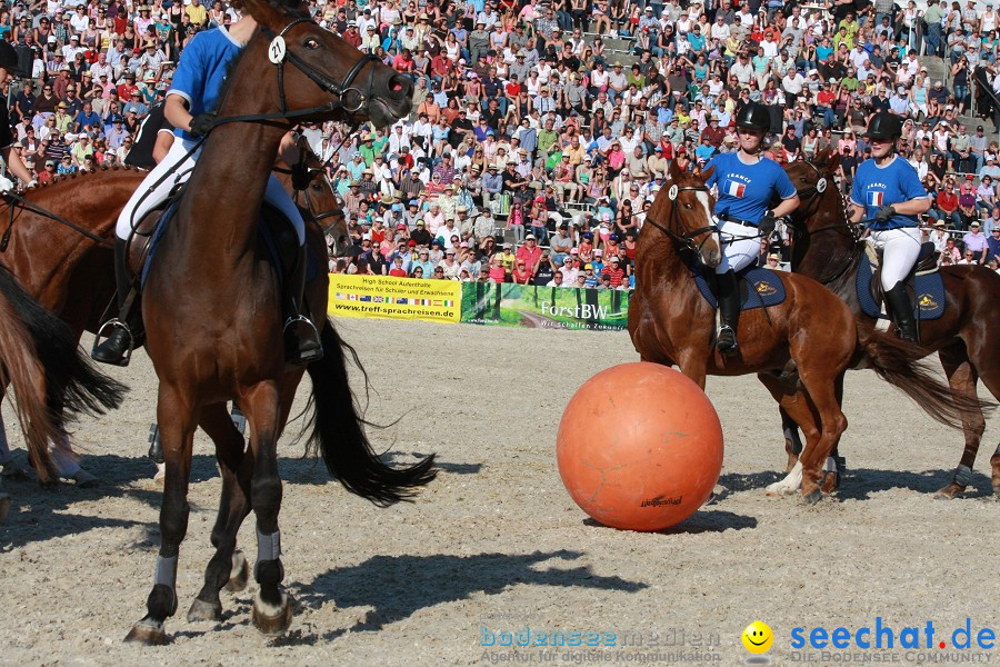 Hengstparade-Marbach-2011-011011-Bodensee-Community-SEECHAT_DE-IMG_1743.JPG