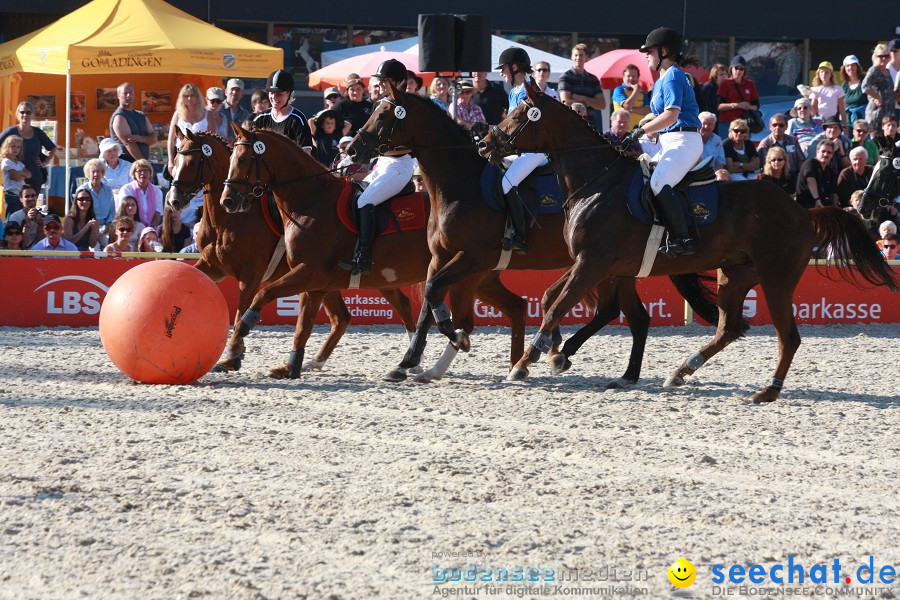 Hengstparade-Marbach-2011-011011-Bodensee-Community-SEECHAT_DE-IMG_1749.JPG