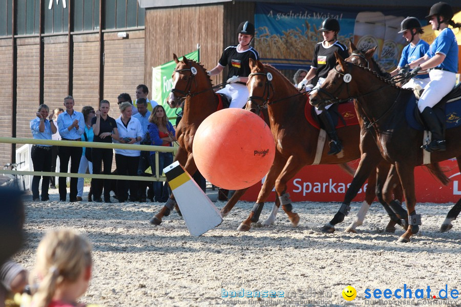 Hengstparade-Marbach-2011-011011-Bodensee-Community-SEECHAT_DE-IMG_1750.JPG