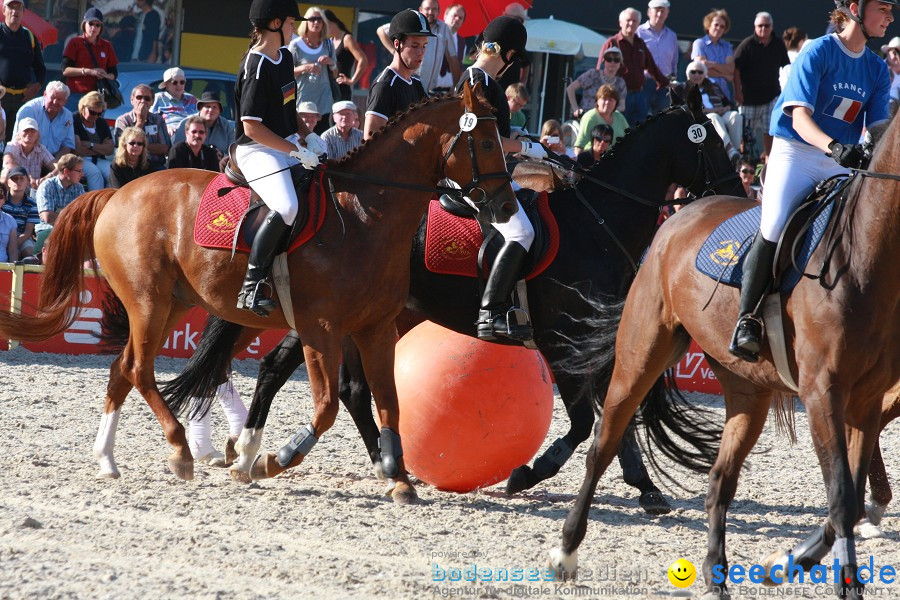 Hengstparade-Marbach-2011-011011-Bodensee-Community-SEECHAT_DE-IMG_1752.JPG