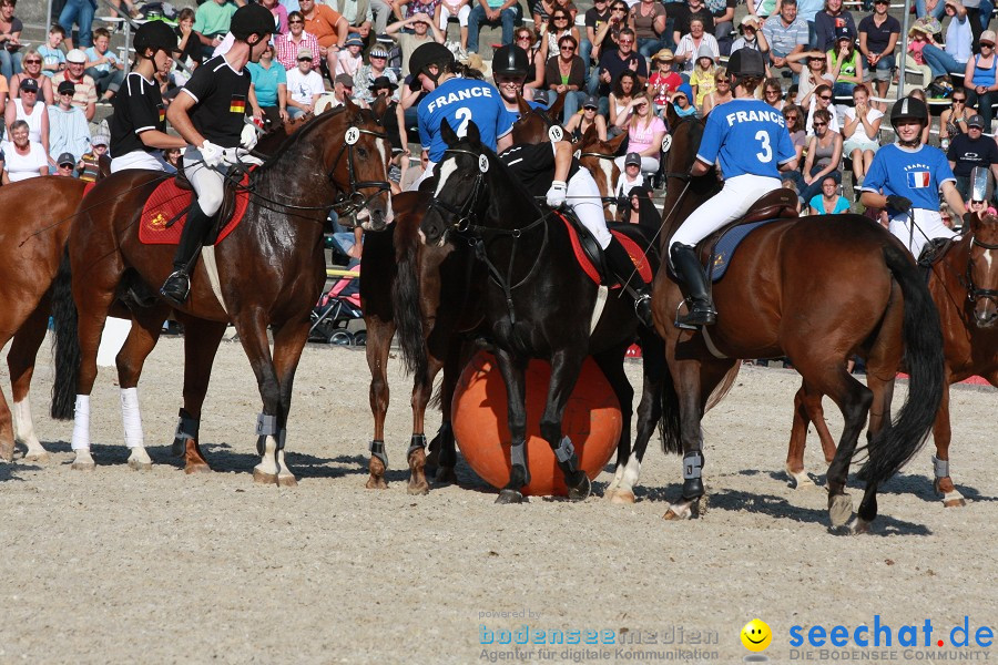 Hengstparade-Marbach-2011-011011-Bodensee-Community-SEECHAT_DE-IMG_1754.JPG