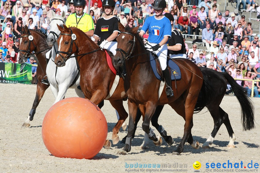 Hengstparade-Marbach-2011-011011-Bodensee-Community-SEECHAT_DE-IMG_1759.JPG