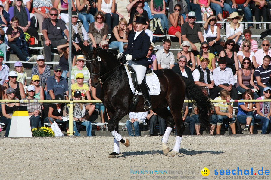 Hengstparade-Marbach-2011-011011-Bodensee-Community-SEECHAT_DE-IMG_1776.JPG