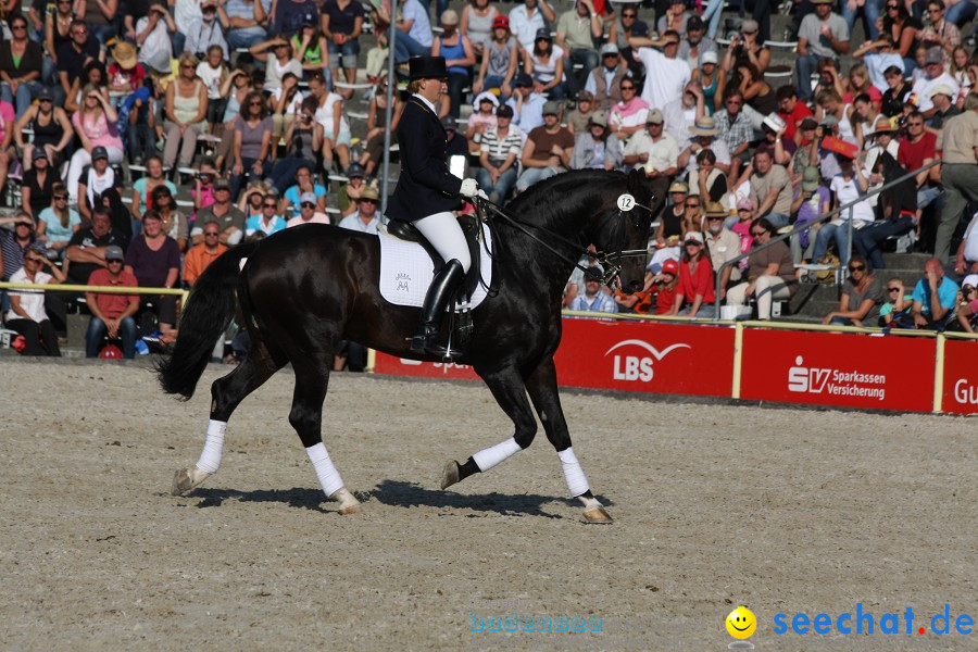 Hengstparade-Marbach-2011-011011-Bodensee-Community-SEECHAT_DE-IMG_1781.JPG