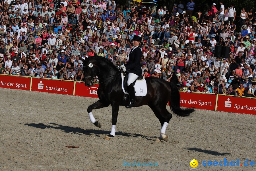 Hengstparade-Marbach-2011-011011-Bodensee-Community-SEECHAT_DE-IMG_1782.JPG