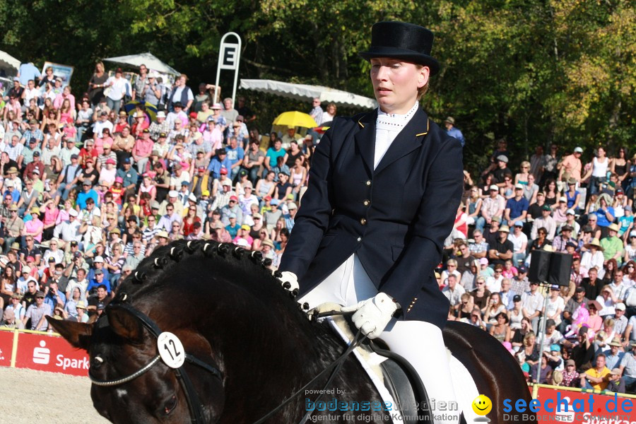 Hengstparade-Marbach-2011-011011-Bodensee-Community-SEECHAT_DE-IMG_1798.JPG