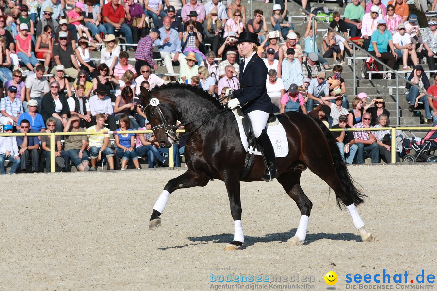 Hengstparade-Marbach-2011-011011-Bodensee-Community-SEECHAT_DE-IMG_1804.JPG