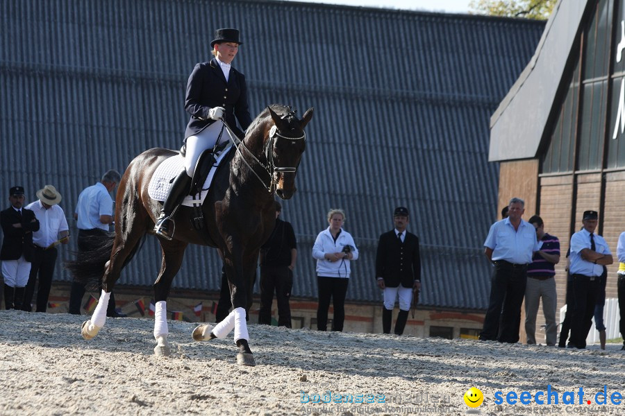 Hengstparade-Marbach-2011-011011-Bodensee-Community-SEECHAT_DE-IMG_1810.JPG