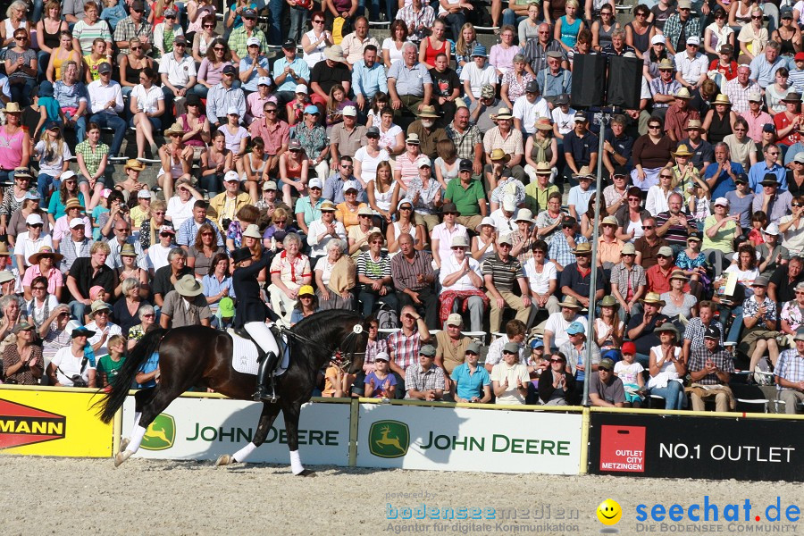 Hengstparade-Marbach-2011-011011-Bodensee-Community-SEECHAT_DE-IMG_1827.JPG