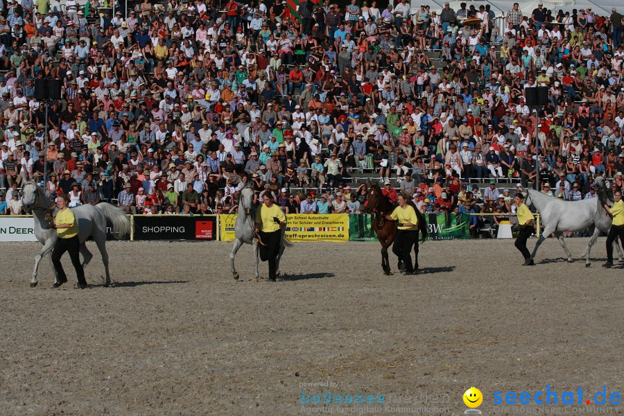 Hengstparade-Marbach-2011-011011-Bodensee-Community-SEECHAT_DE-IMG_1856.JPG