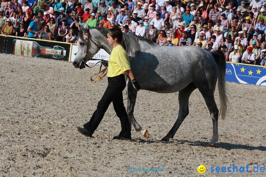 Hengstparade-Marbach-2011-011011-Bodensee-Community-SEECHAT_DE-IMG_1858.JPG