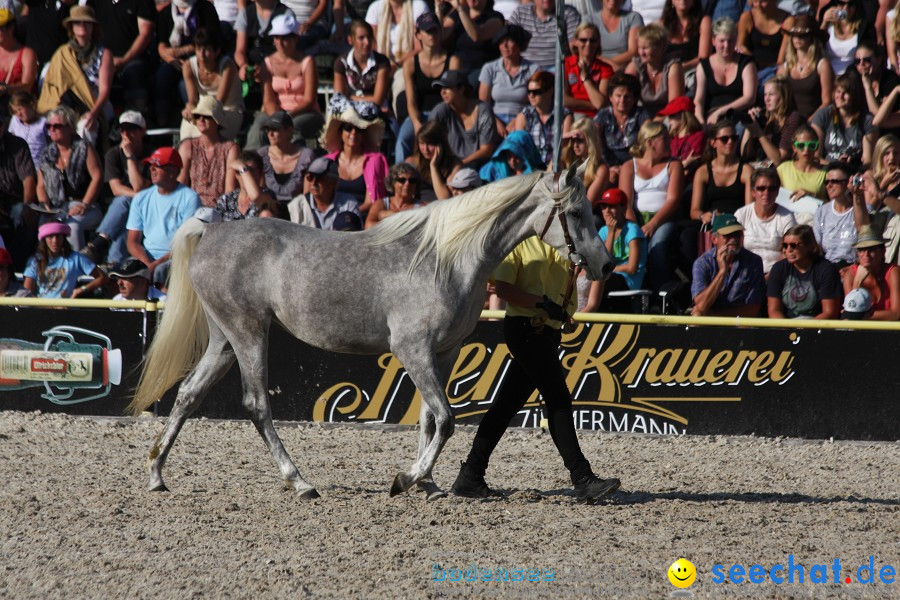 Hengstparade-Marbach-2011-011011-Bodensee-Community-SEECHAT_DE-IMG_1863.JPG