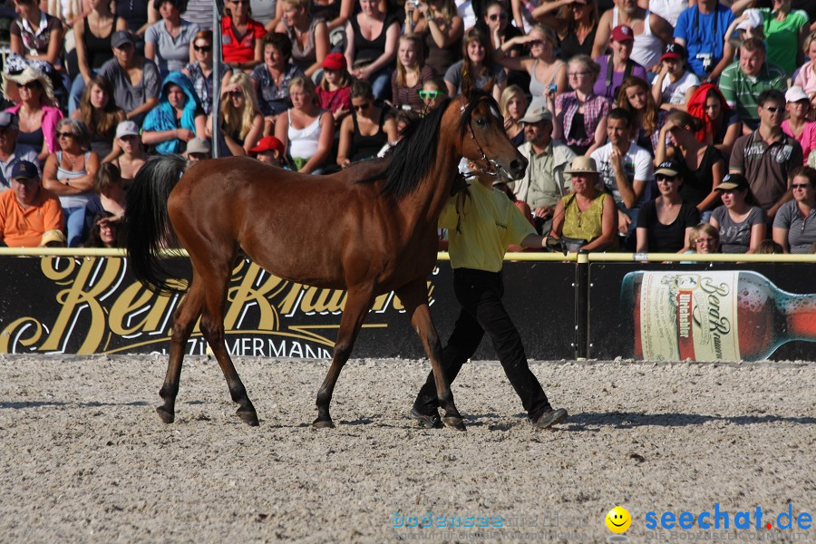 Hengstparade-Marbach-2011-011011-Bodensee-Community-SEECHAT_DE-IMG_1868.JPG