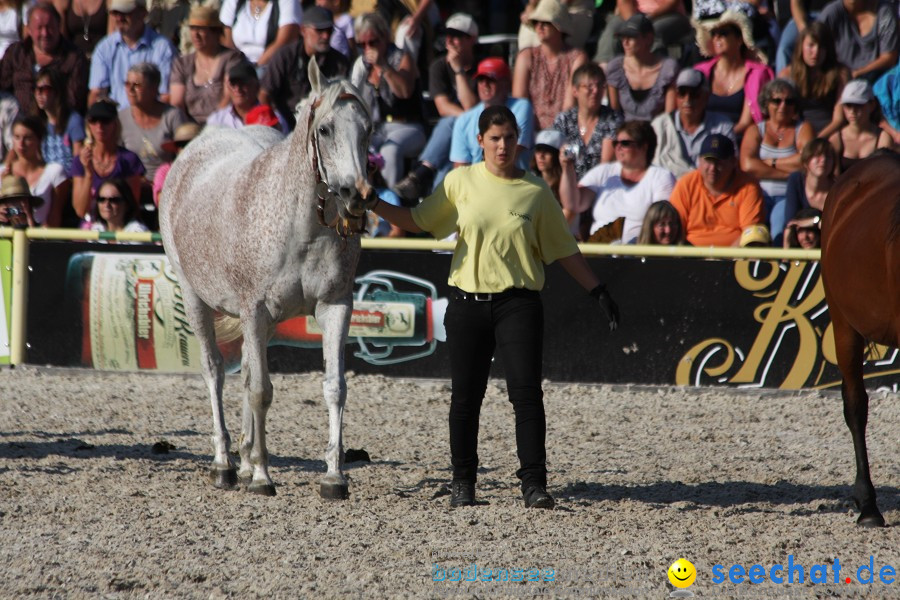 Hengstparade-Marbach-2011-011011-Bodensee-Community-SEECHAT_DE-IMG_1873.JPG