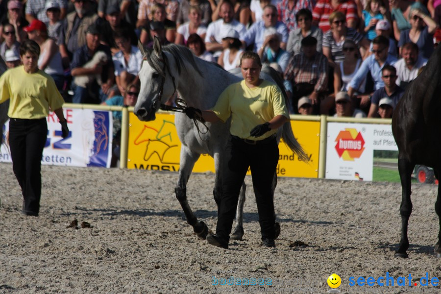 Hengstparade-Marbach-2011-011011-Bodensee-Community-SEECHAT_DE-IMG_1874.JPG