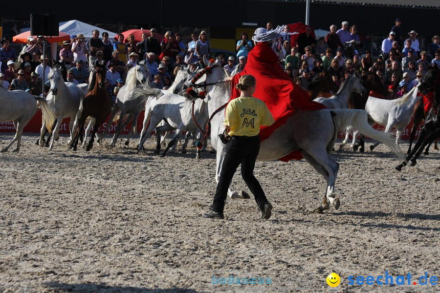 Hengstparade-Marbach-2011-011011-Bodensee-Community-SEECHAT_DE-IMG_1882.JPG