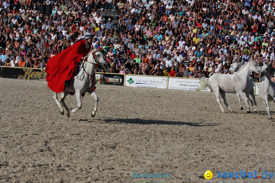 Hengstparade-Marbach-2011-011011-Bodensee-Community-SEECHAT_DE-IMG_1888.JPG